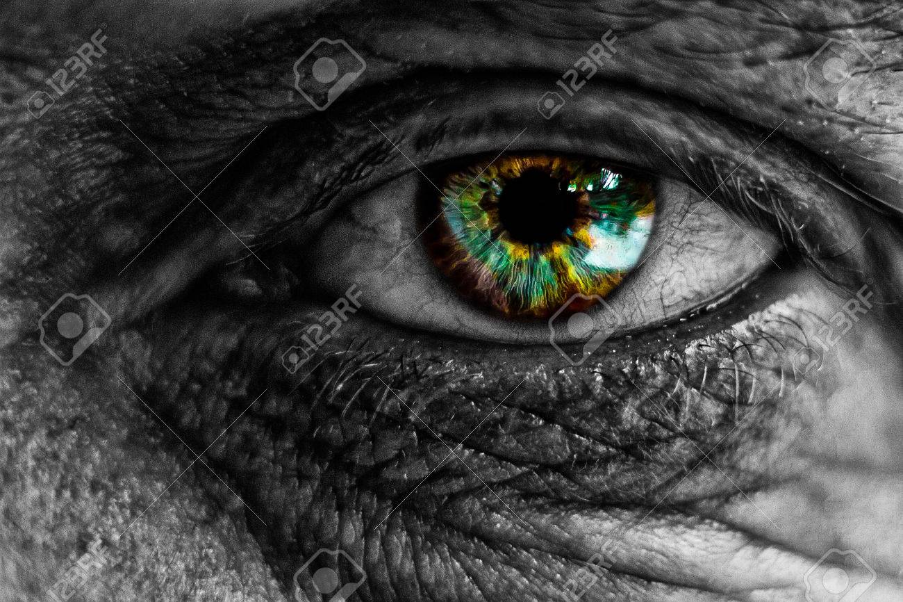 Alien Eye Stock Photo Picture And Royalty Free Image Image