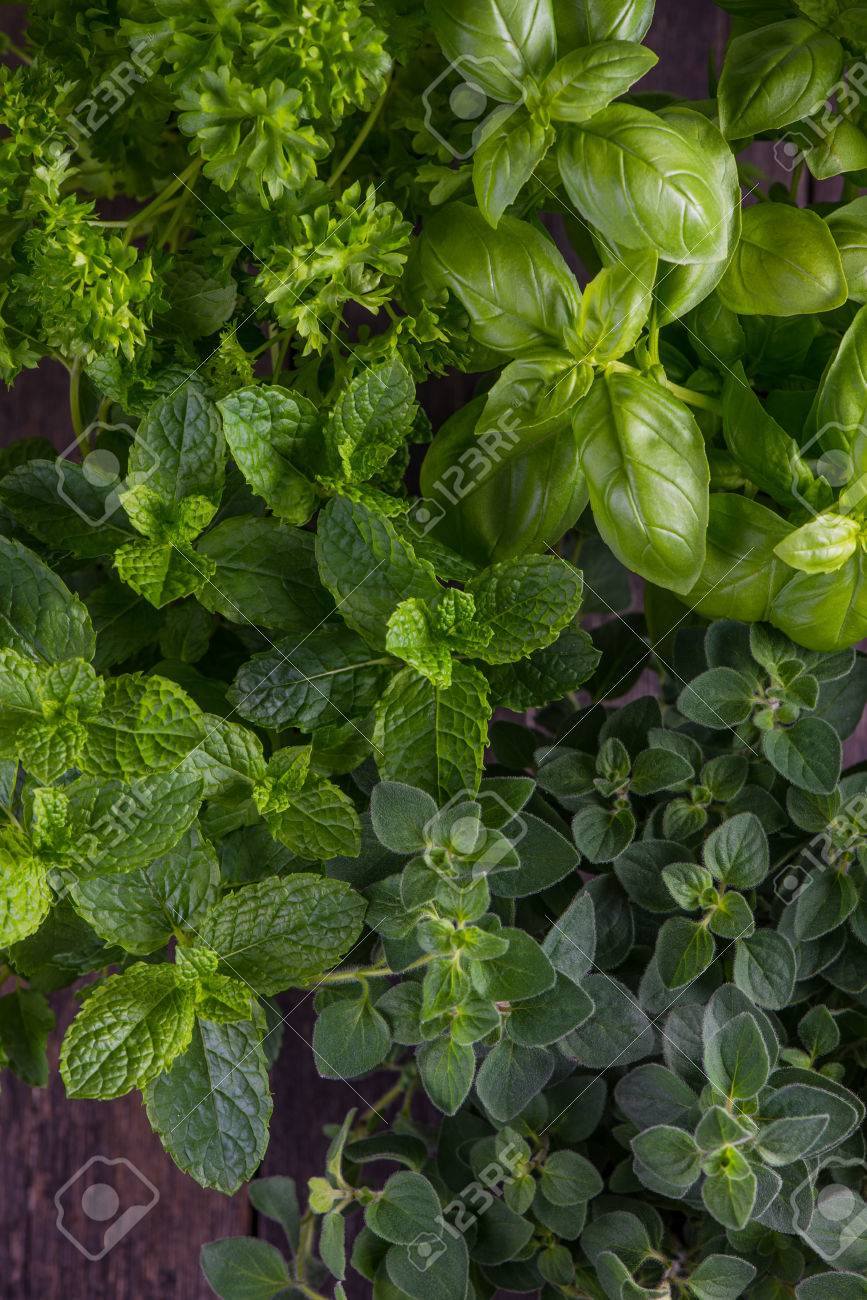Frische Krauter Von Zu Hause Aus Garten Grun Lebensmittel
