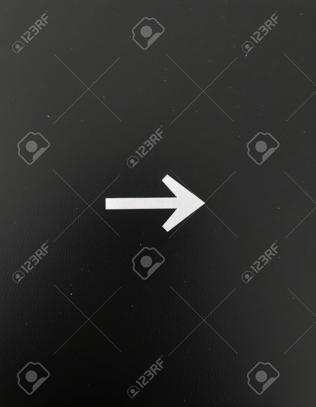 etiam-dictum-ipsum-a-felis