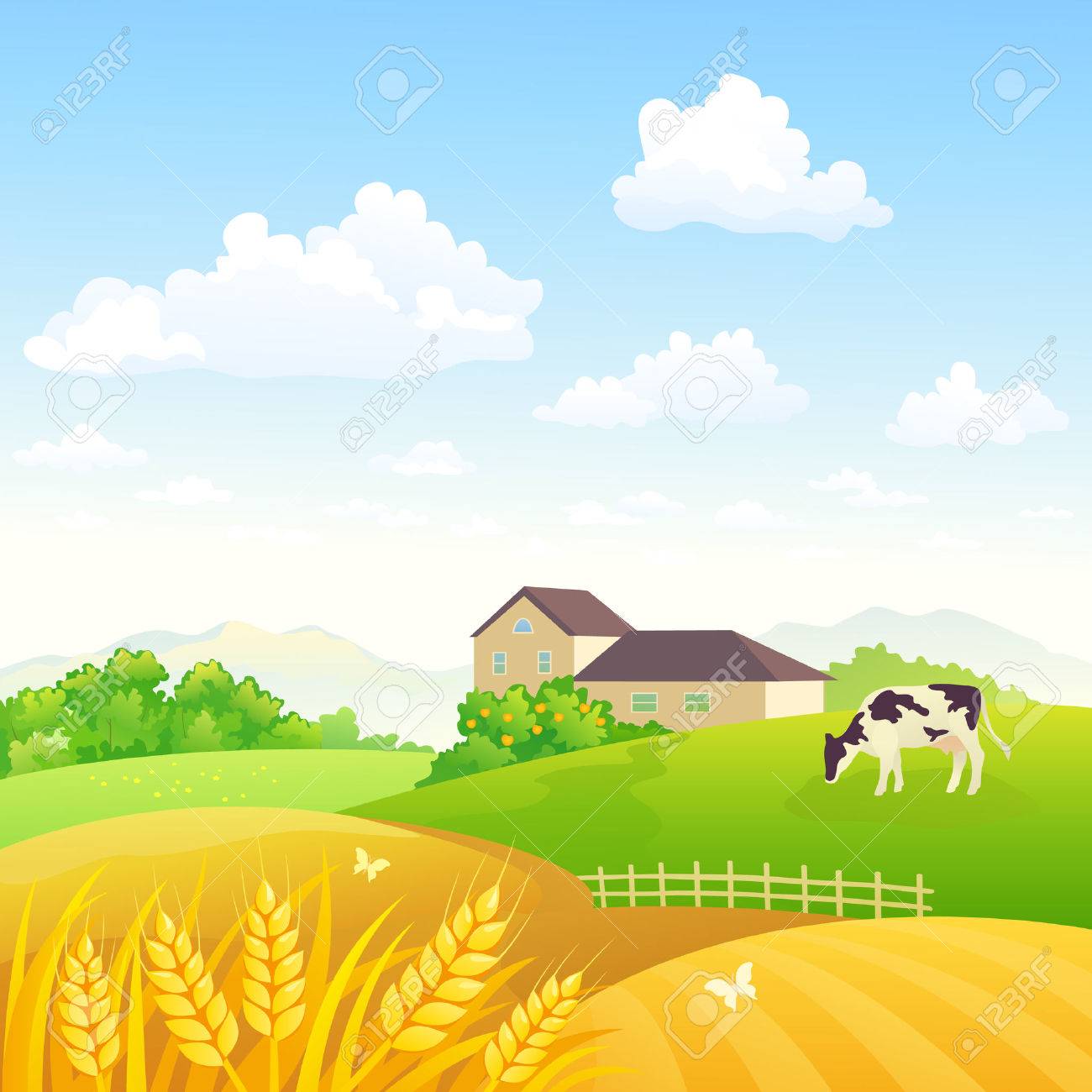 放牧されている牛と小麦畑と田園風景のベクトル イラスト のイラスト素材 ベクタ Image