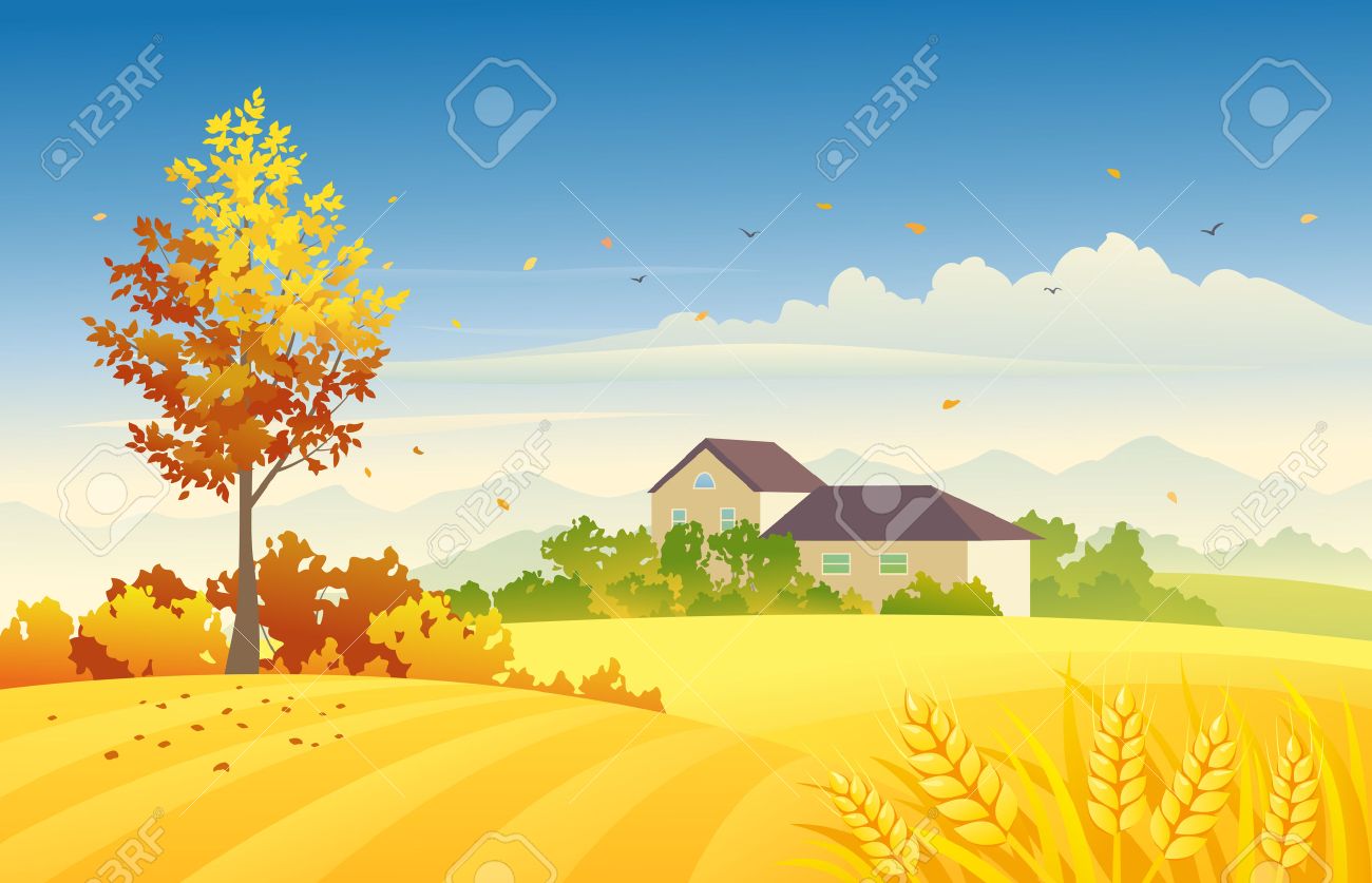 illustration of an autumn farm scene with wheat fields and bright foliage tree - 43941068 illustration of an autumn farm scene with wheat fields and bright foliage tree - 43941068