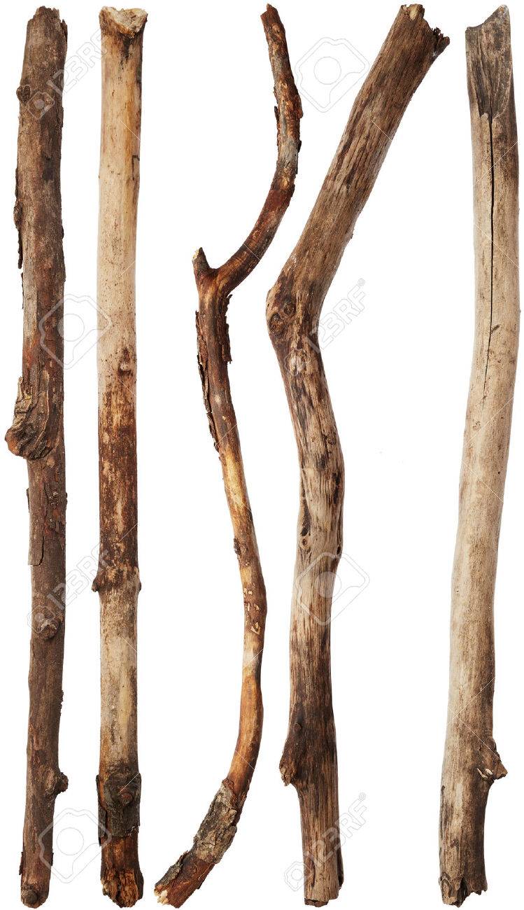 木 枝 Www Arredamentizp It