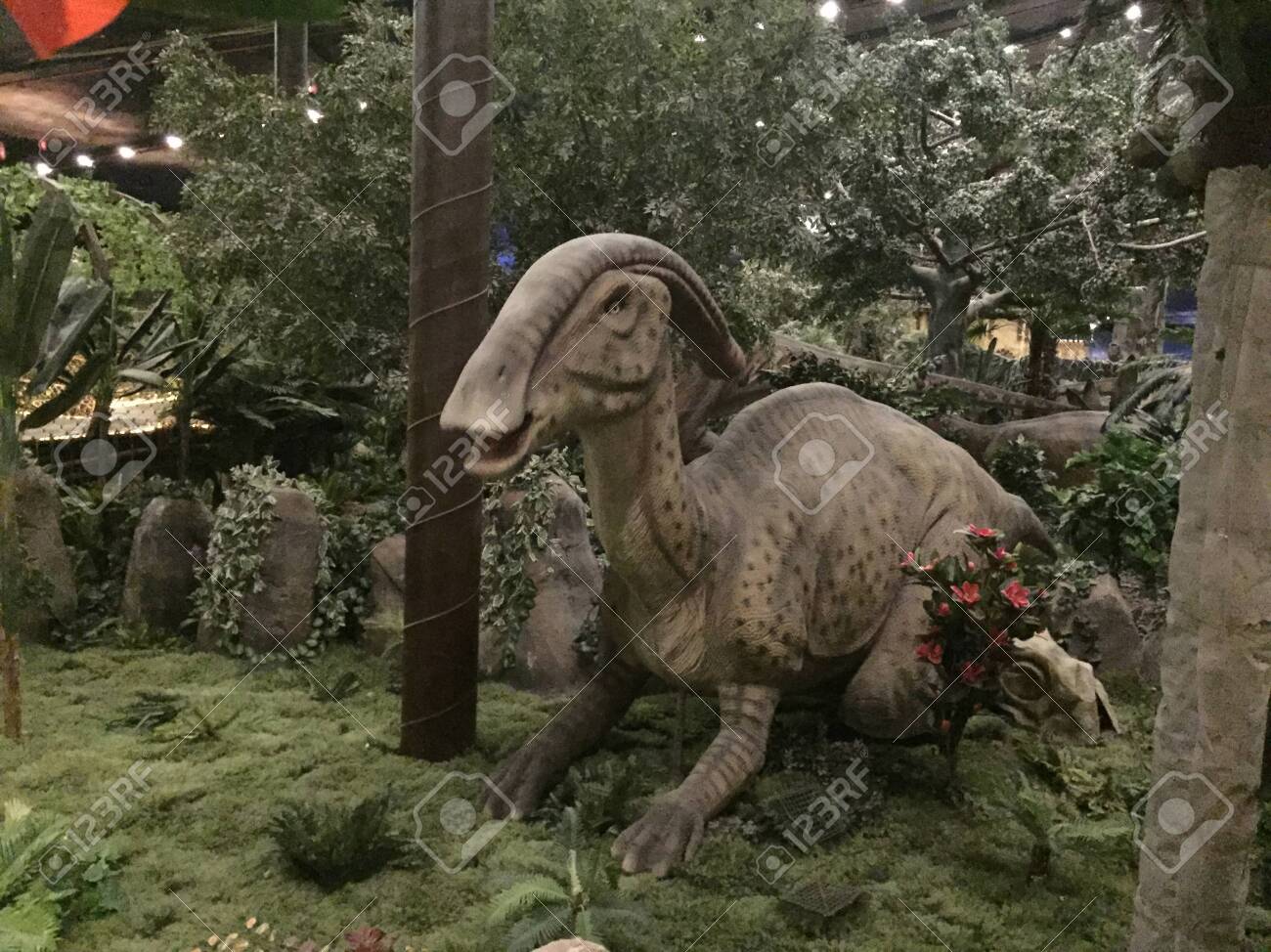 etiam-dictum-ipsum-a-felis