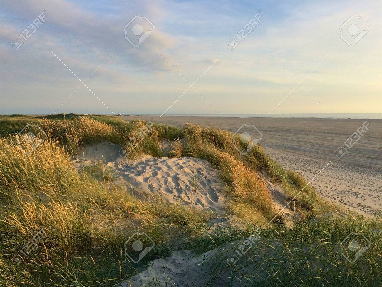 Dunen Am Nordufer In St Peter Ording Kurz Vor Sonnenuntergang Lizenzfreie Fotos Bilder Und Stock Fotografie Image 80246634