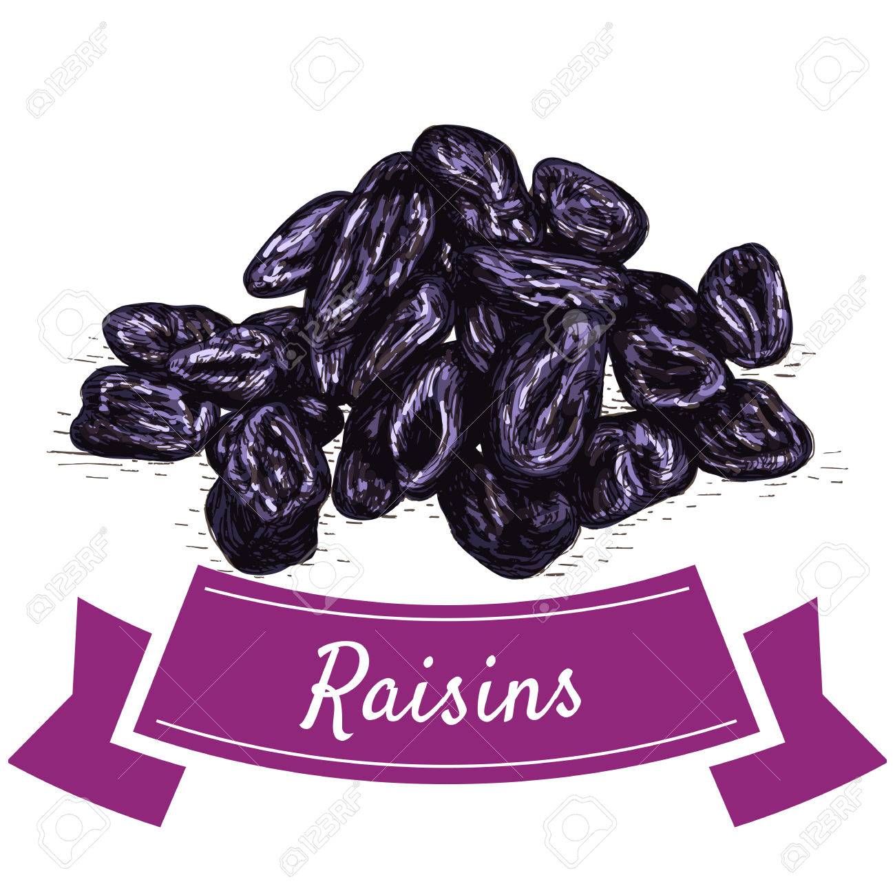 Raisins Colorful Illustration. Vector Illustration Of Raisins.の