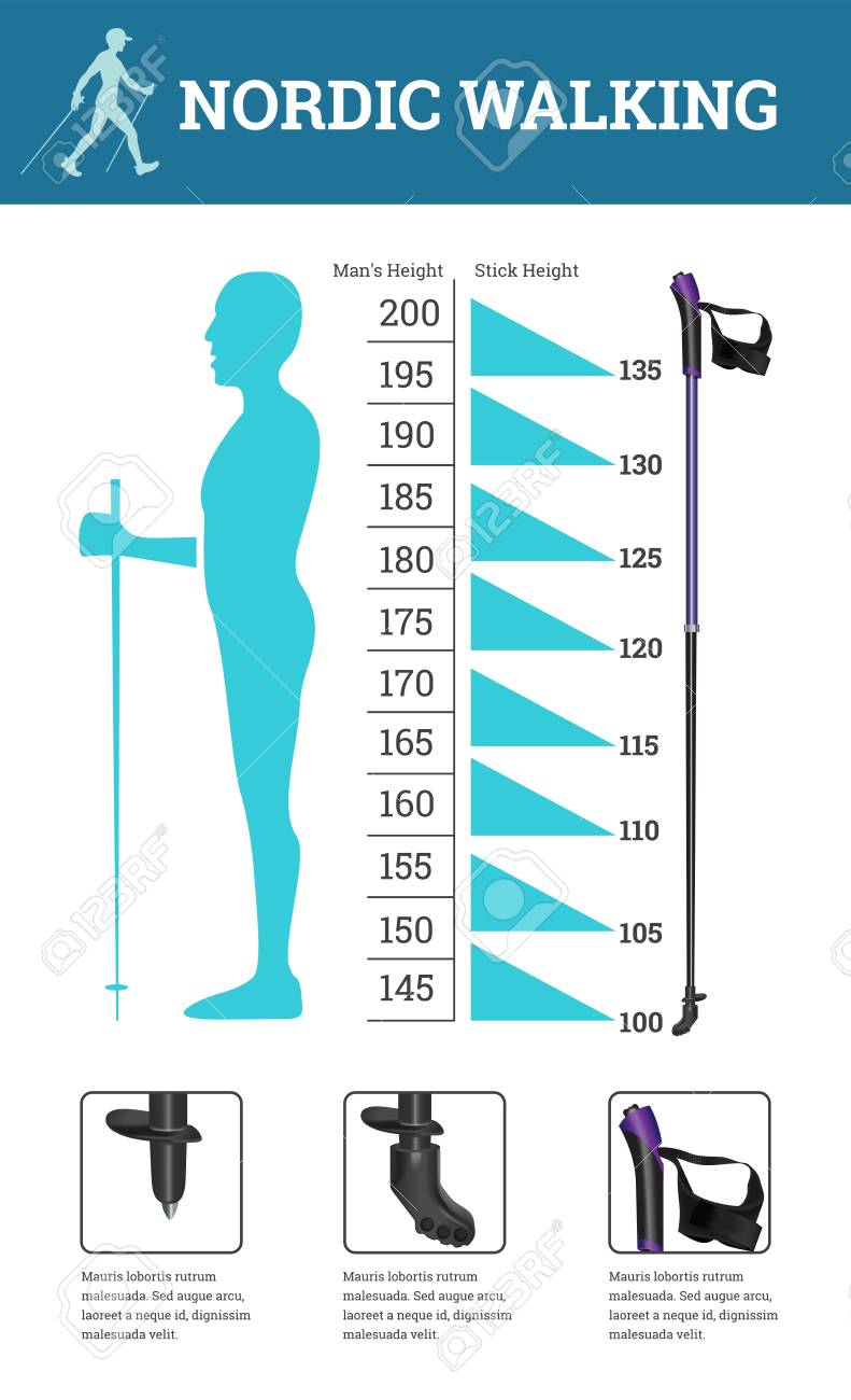 nordic walking pole length