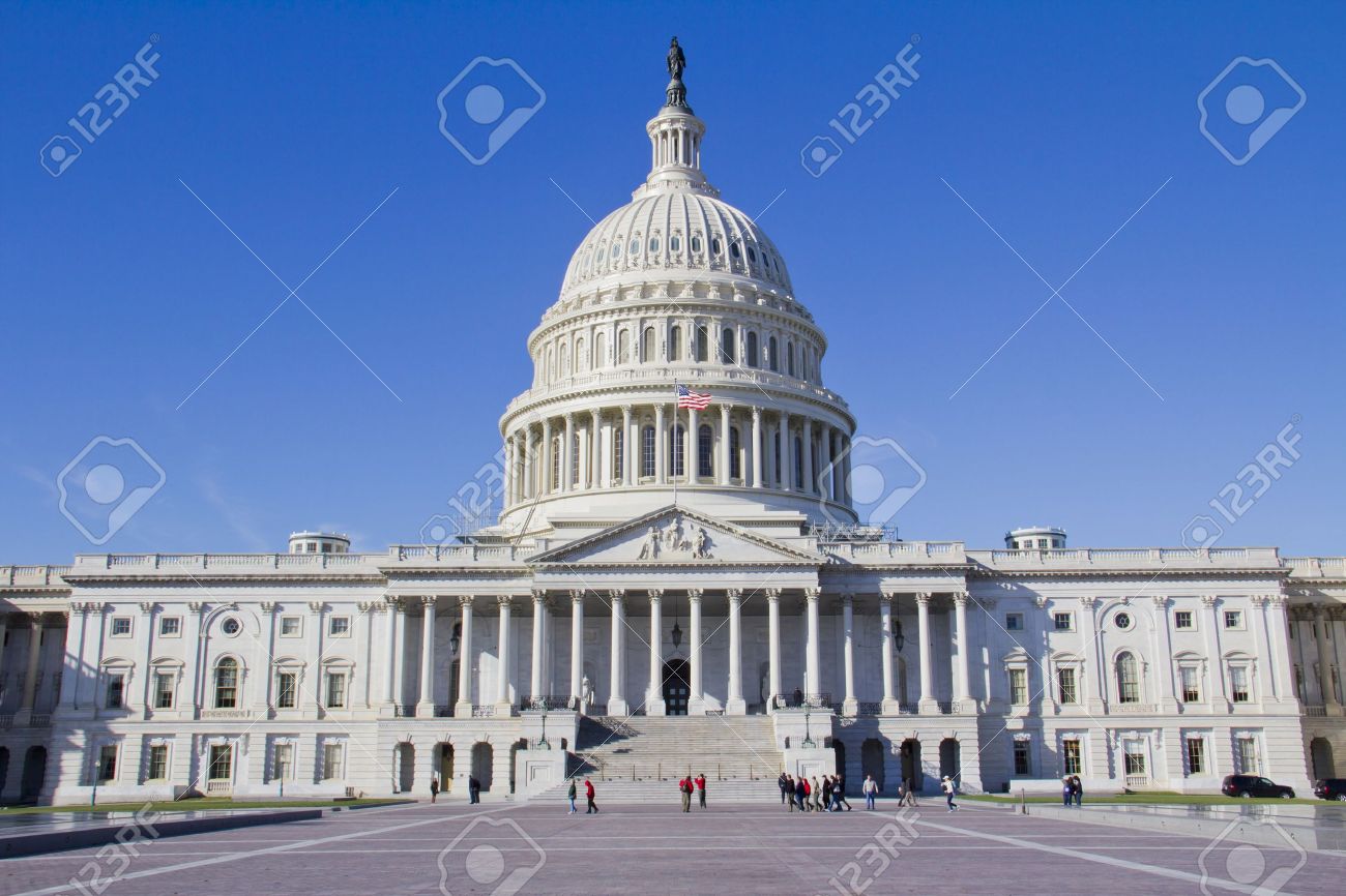 UNITEDSTATES CONGRESS プレート USA 合衆国議会アメリカ