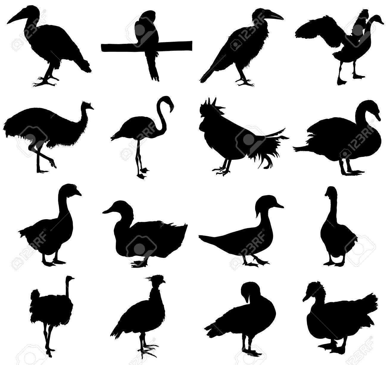 白い背景に分離された鳥ベクトル シルエット イラストのセットです のイラスト素材 ベクタ Image 白い背景に分離された鳥ベクトル シルエット イラストのセットです のイラスト素材 ベクタ Image
