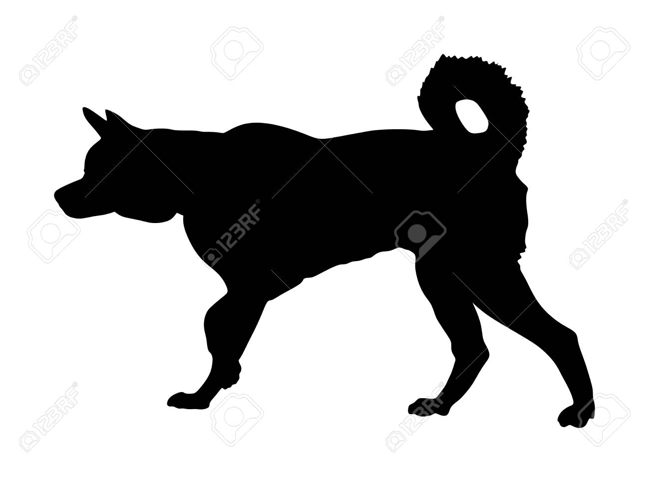 シベリアン ハスキー犬のベクトル シルエットのイラスト 秋田犬の犬種です のイラスト素材 ベクタ Image