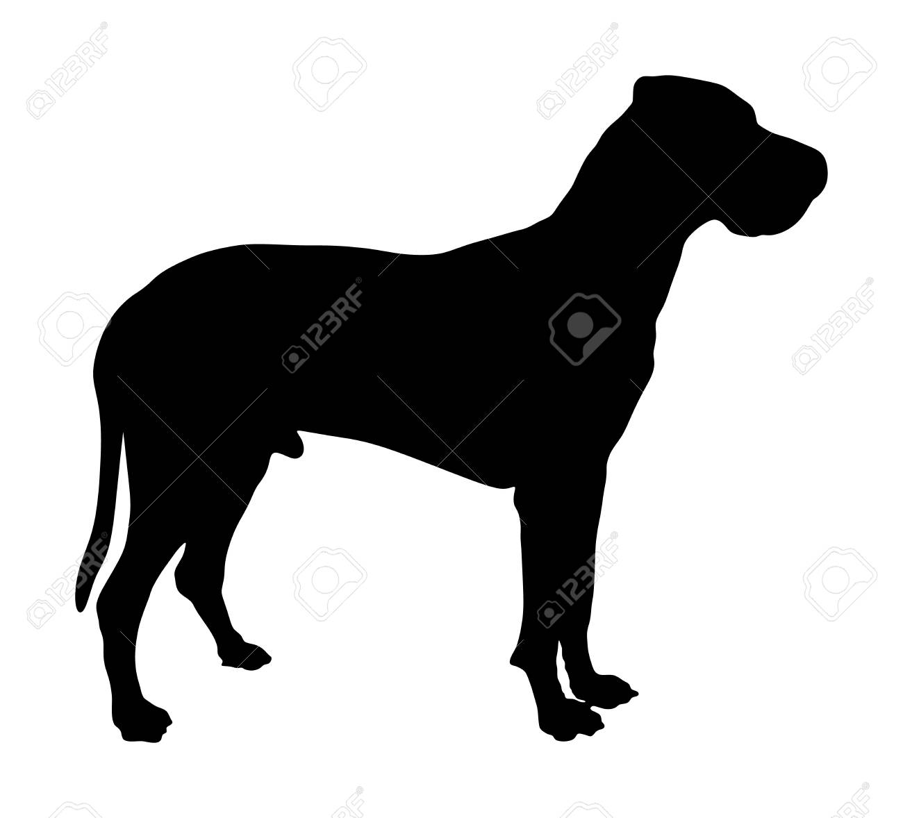 Portrat Der Vektor Schattenbildillustration Der Deutschen Dogge Lokalisiert Boston Dane Harlekin Hund Deutscher Hund Lizenzfrei Nutzbare Vektorgrafiken Clip Arts Illustrationen Image 91345670