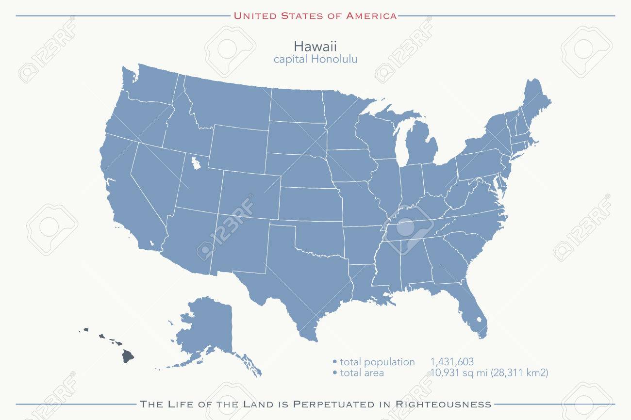 united states of america isolated map and hawaii islands territory vector usa political map