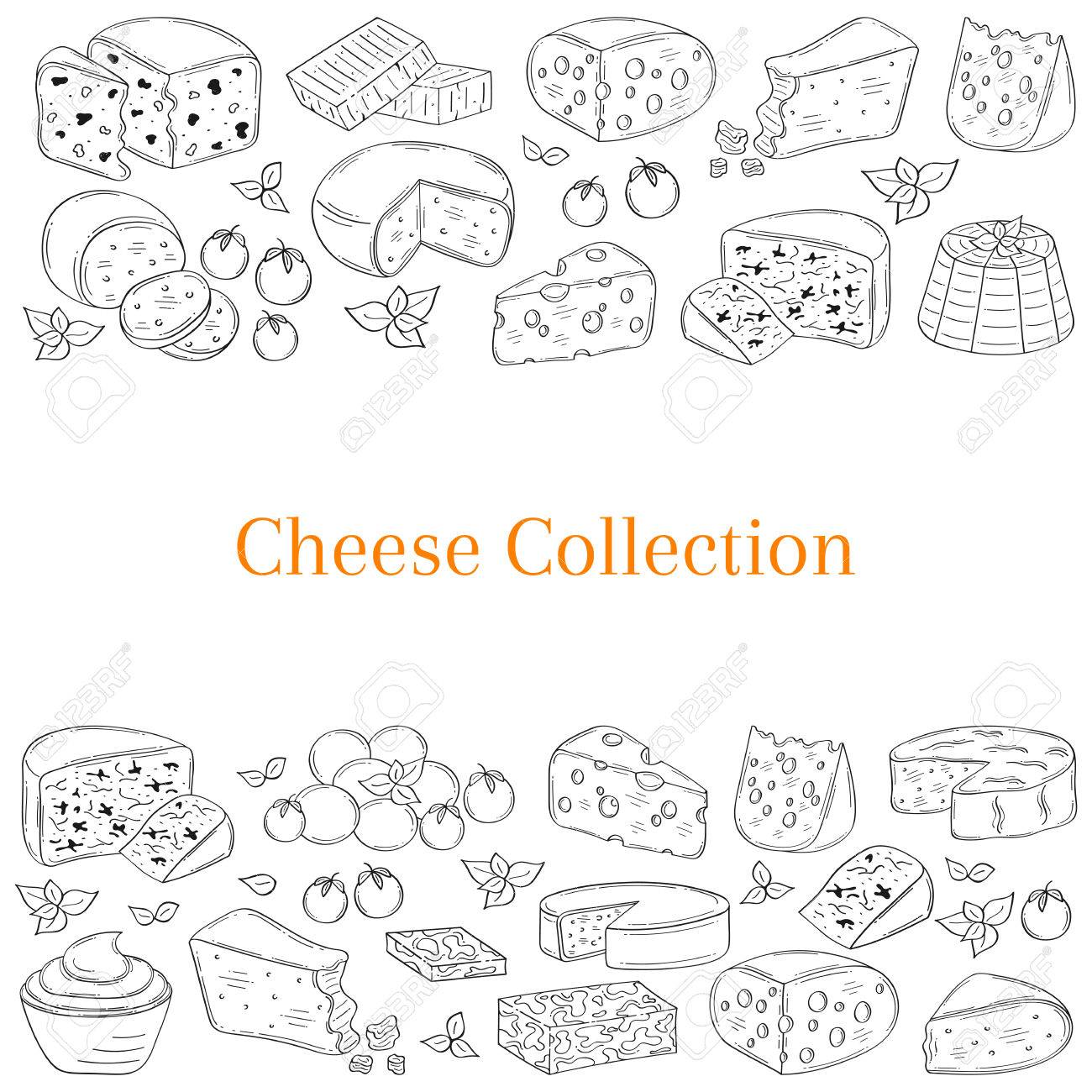 さまざまな種類のチーズ、手描きイラストとベクター バナー  