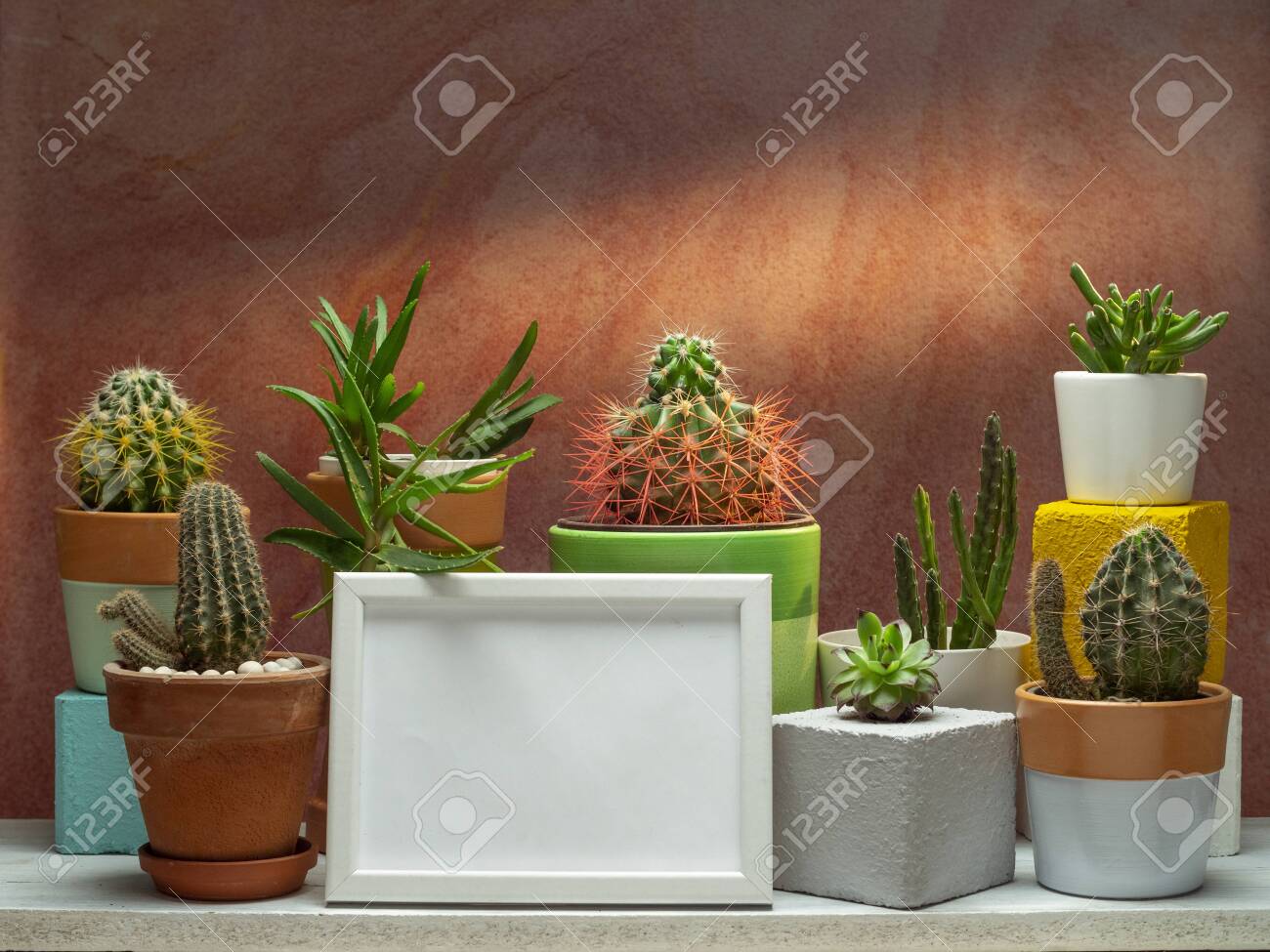 Download Room Decoration With Cactus Succulent Plant And Picture Frame Stock Photo Picture And Royalty Free Image Image 146724717
