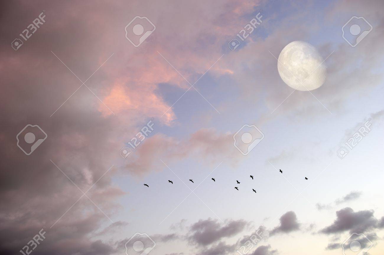 月雲鳥は柔らかく美しい Cloudscape 明るい満月の夜の空に上昇によって飛んでいる鳥たちのシルエットの群れと青い空 の写真素材 画像素材 Image