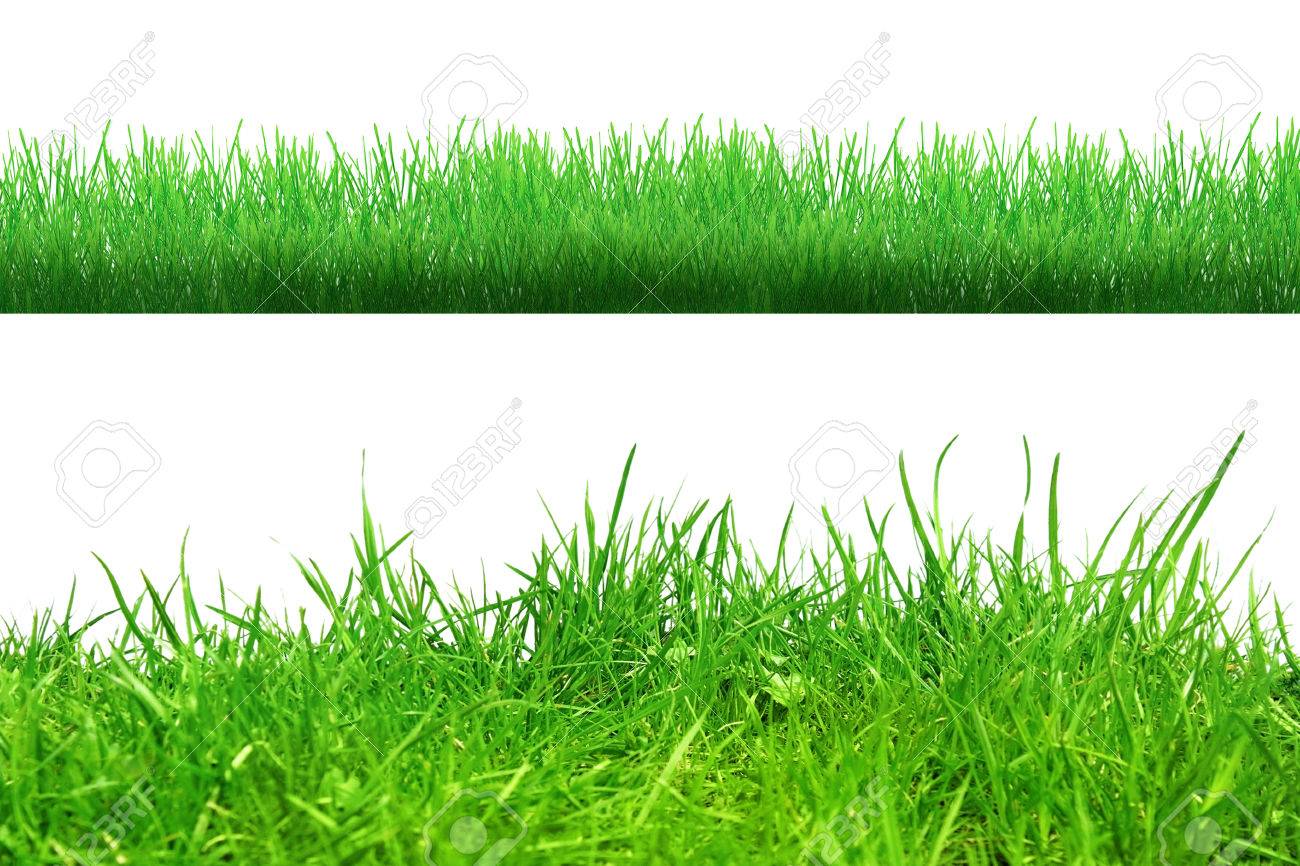 Herbe dans le sol isolé sur whiteAbstract nature bokeh Herbe dans le sol isolé sur whiteAbstract nature bokeh