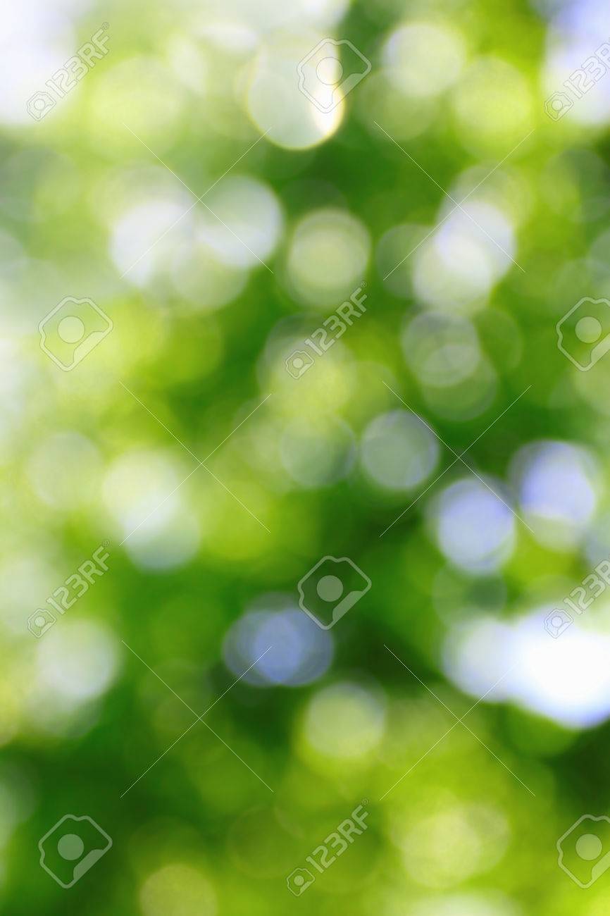Bokef Of The Light In The Sunny Tree Nature Stock Photo, Picture and  Royalty Free Image. Image 40382725.