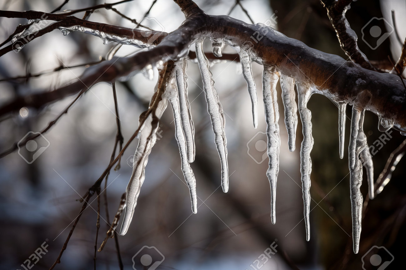 Icicle Tree : Photos, Diagrams \u0026 Topos : SummitPost, image size:1300x867