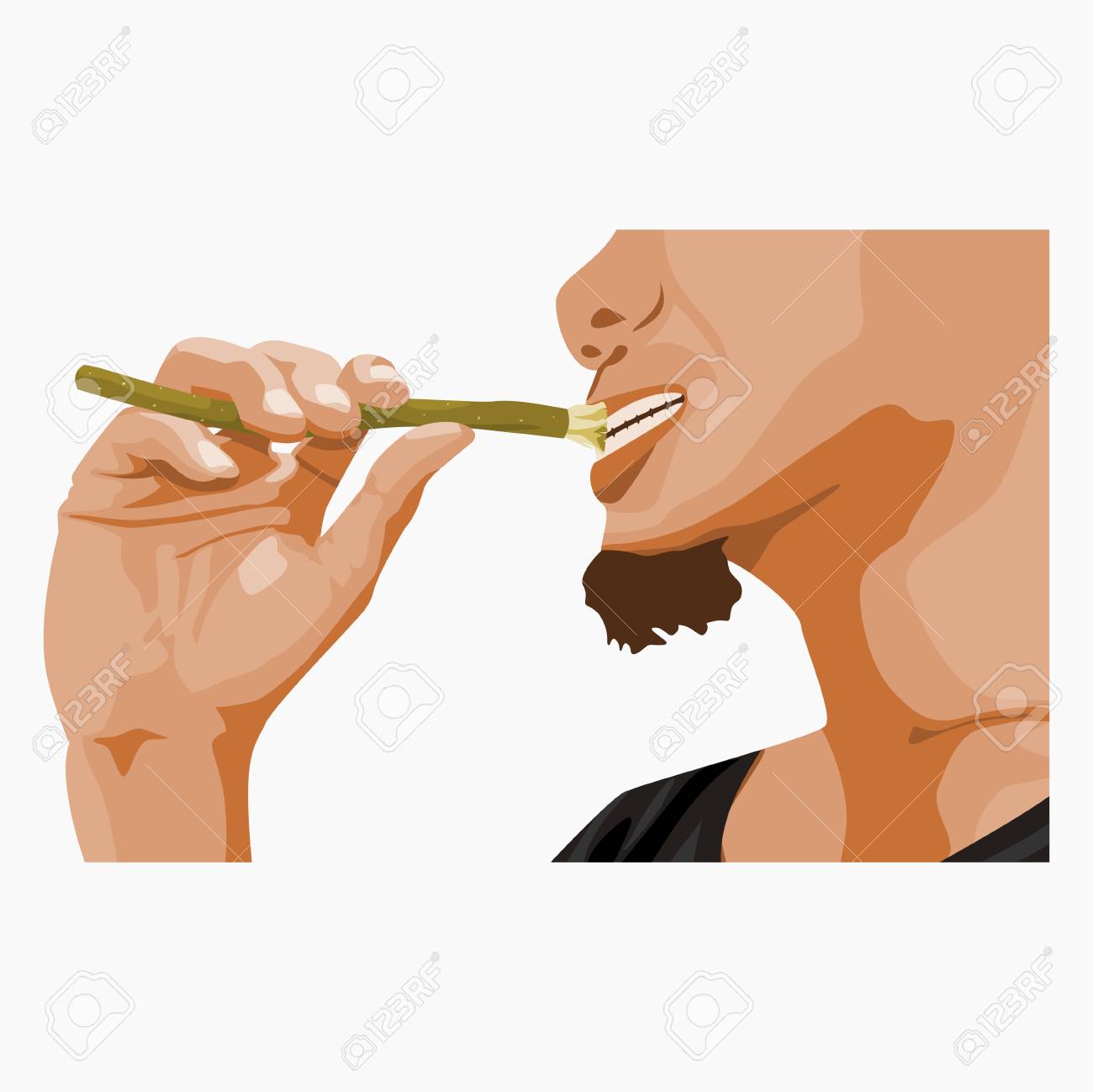 miswak for teeth