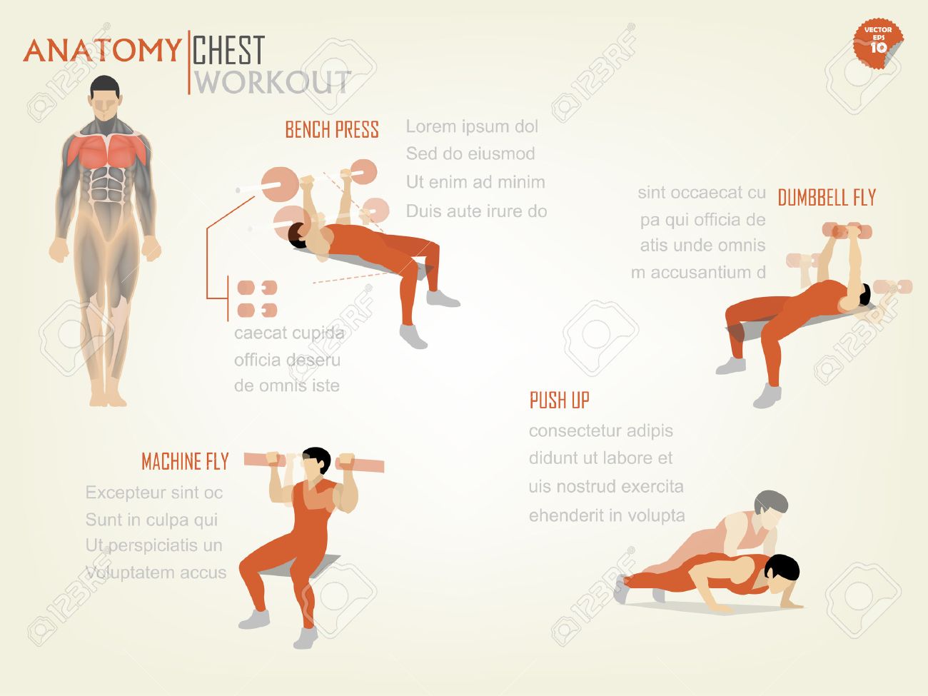 Bench press inclinado con mancuernas