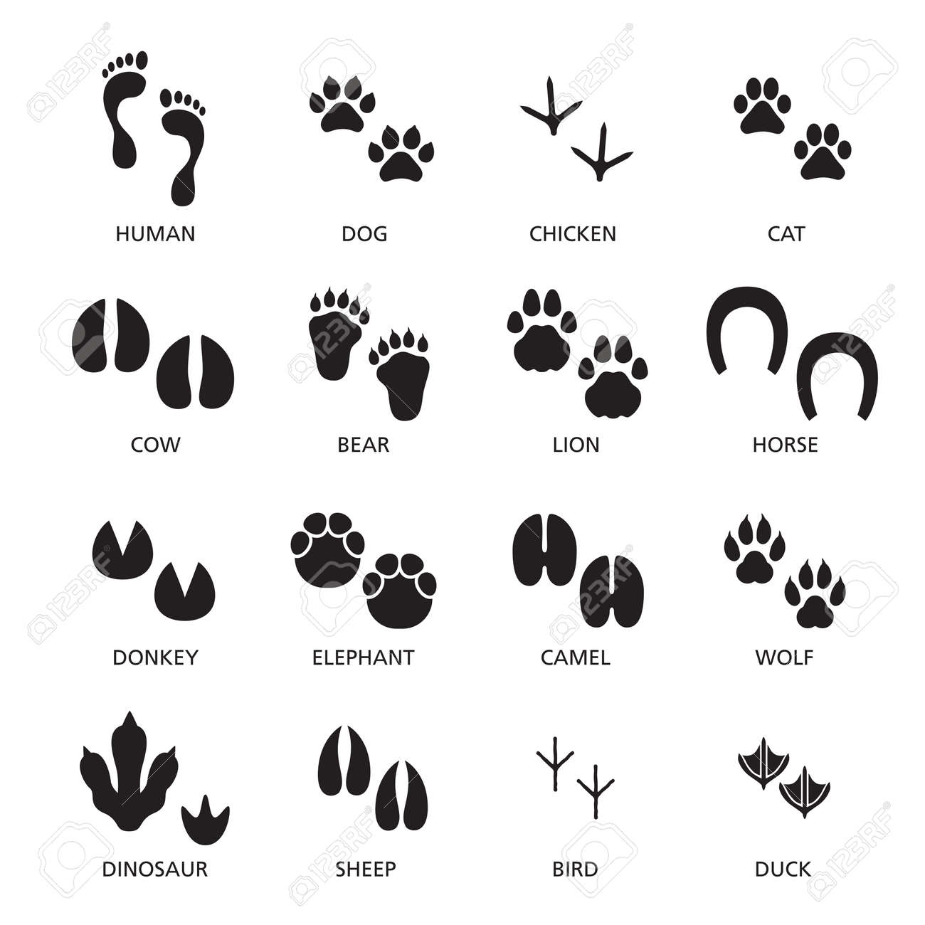 Vector set of footprint of different animals and human. - 165885043 Vector set of footprint of different animals and human. - 165885043