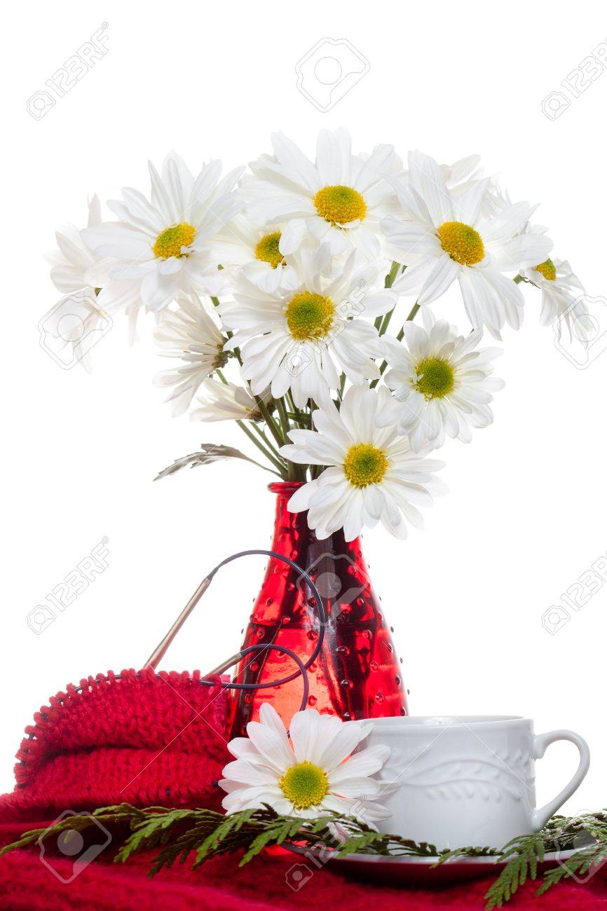 白い花赤い花瓶の花束 の写真素材 画像素材 Image 1640