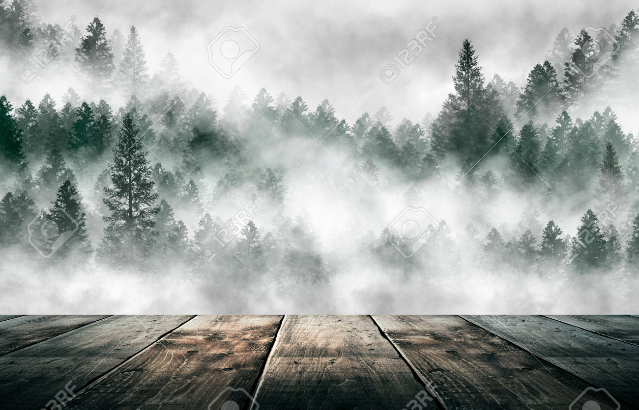 Foggy Dark Forest. Top View, Fog, Smog. Wild Forest Nature, Forest  Landscape, Landscape. Abstract Fantasy Forest. Tidewater Green. Dark Forest,  Night View, Seen From Above. Stock Photo, Picture and Royalty Free Image., image size:1300x836