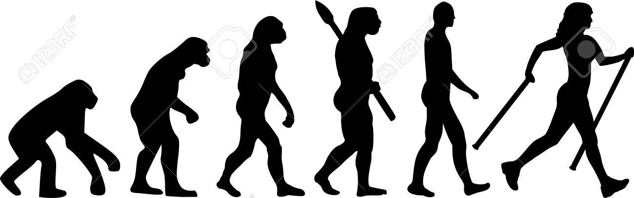 walk evolution