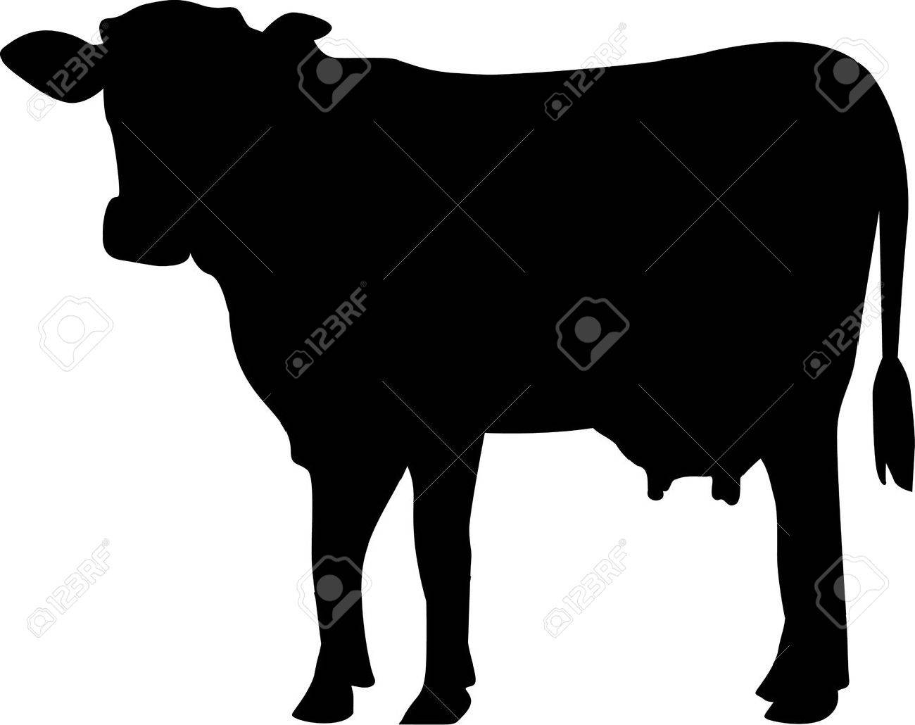 cow silhouette royalty free