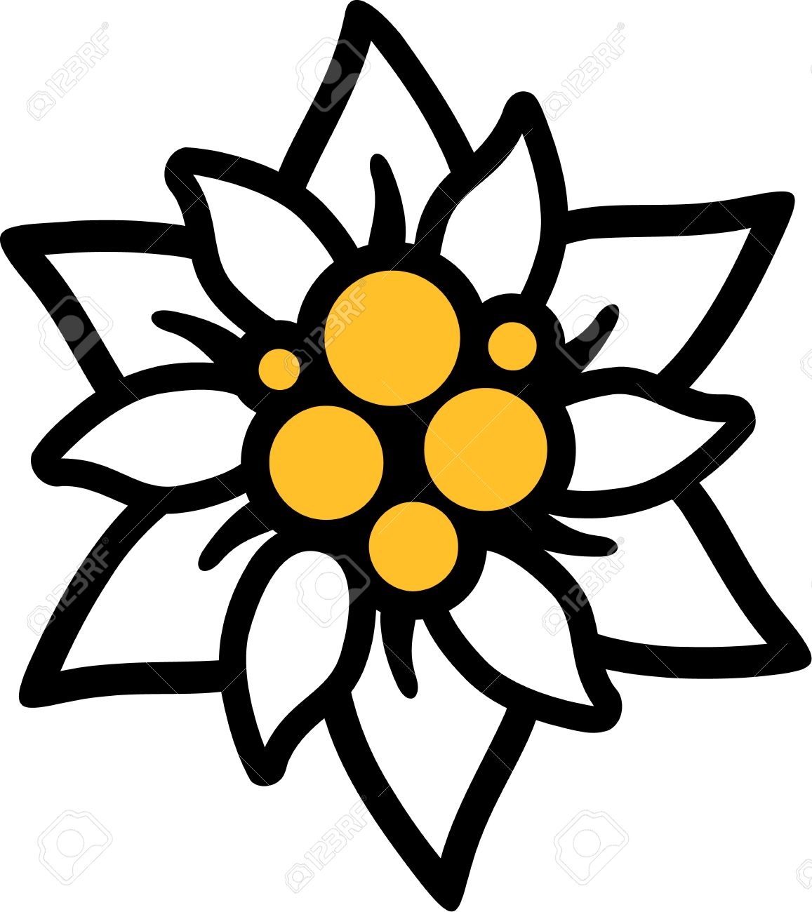 エーデルワイスの花 のイラスト素材 ベクタ Image