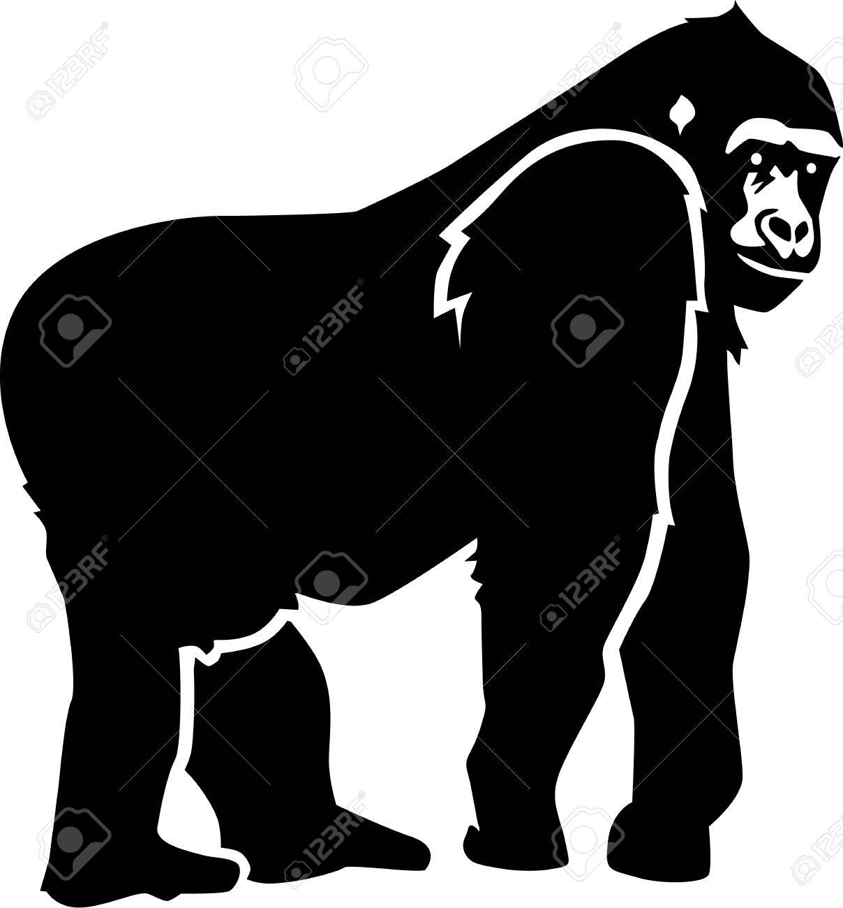 Gorilla Silhouette Royalty Free Cliparts Vectors And Stock Illustration Image Gorilla Silhouette Royalty Free Cliparts Vectors And Stock Illustration Image