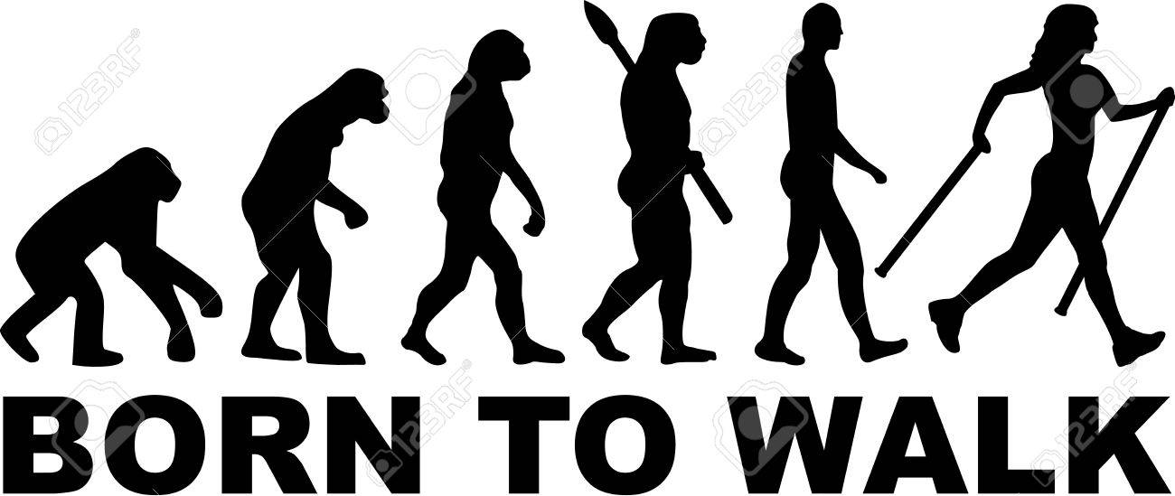 walk evolution