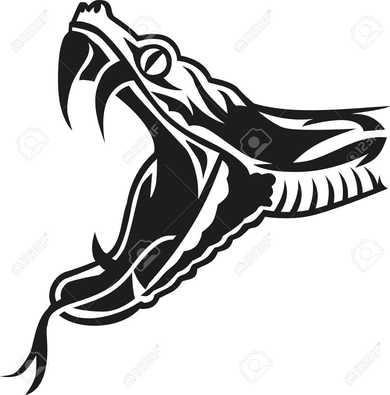Snake Head Showing Fangs And Tongue Royalty Free SVG, Cliparts, Vectors,  and Stock Illustration. Image 50832487.