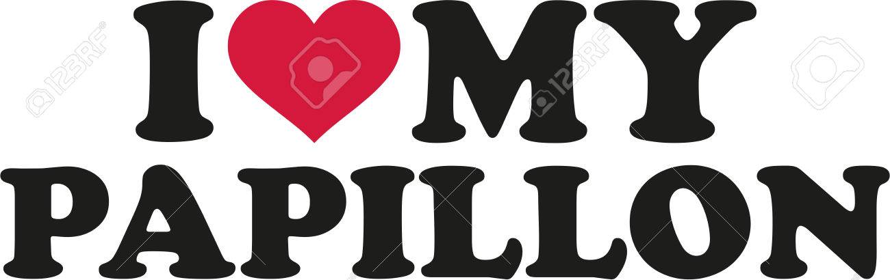 i love my papillon