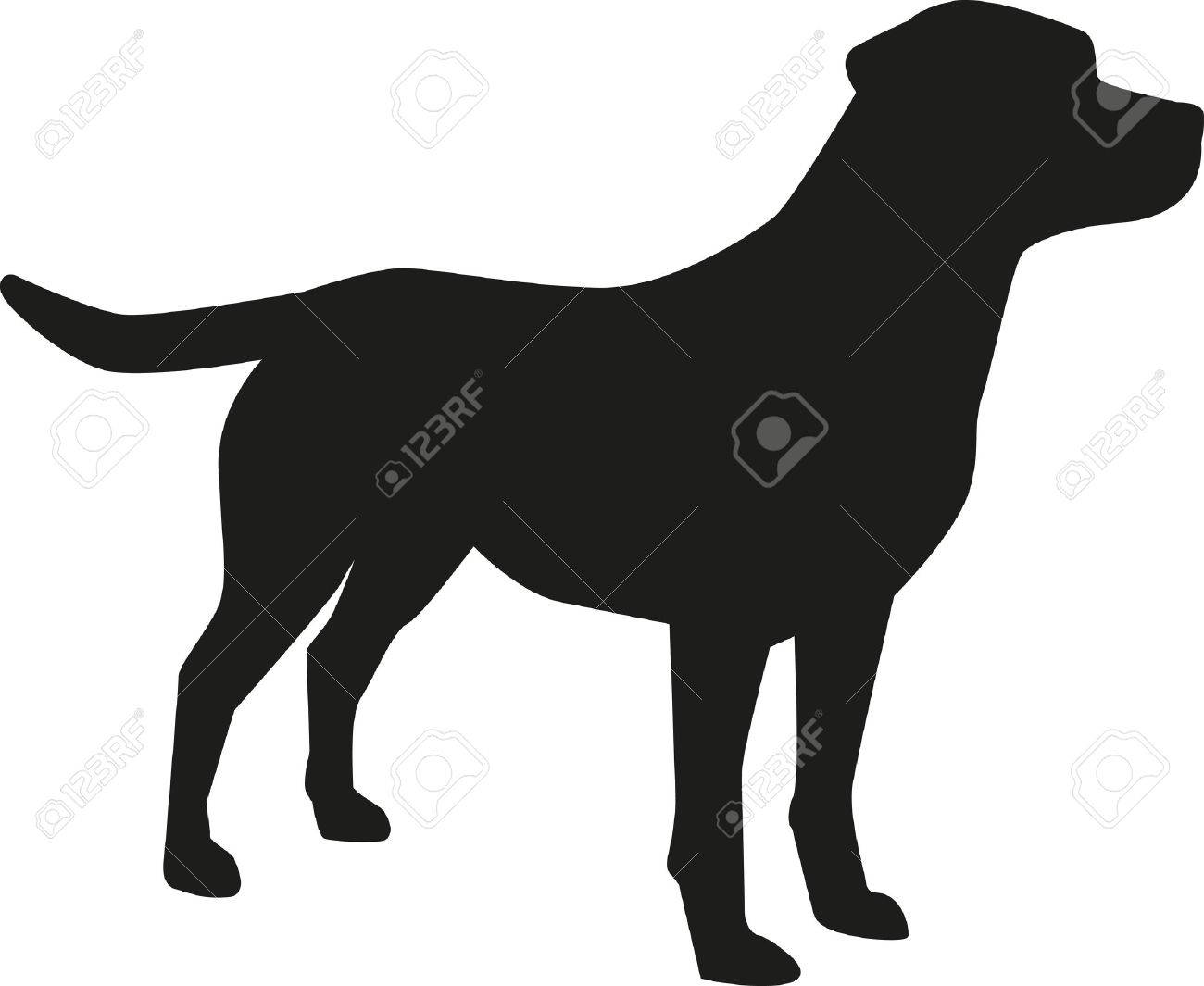 httpspreviews123rfcomimagesmicekingmicekin