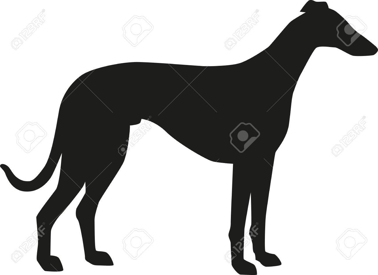 greyhound silhouette royalty free cliparts vectors and stock illustration image 51404825 greyhound silhouette
