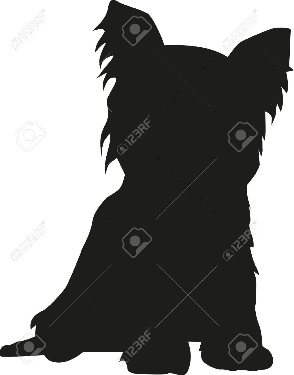 Yorkshire Terrier Sitting Silhouette Royalty Free Cliparts Vectors And Stock Illustration Image