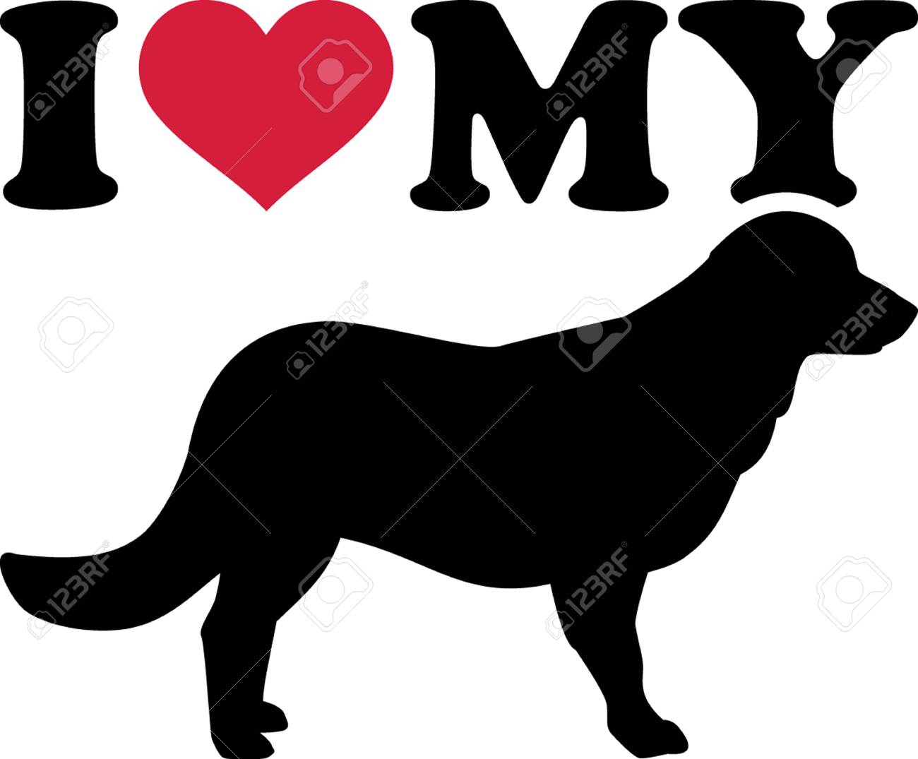 mini flat coated retriever