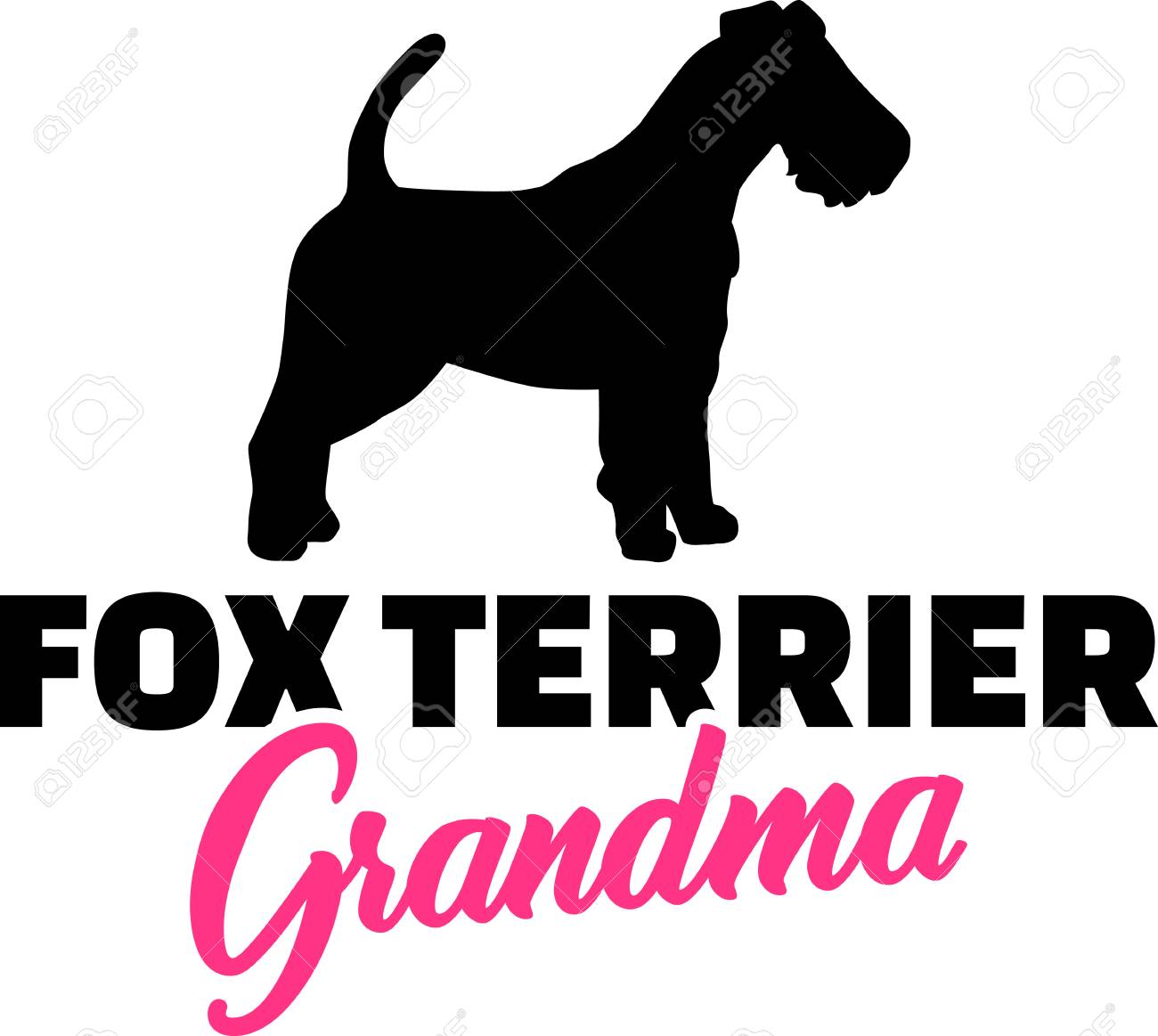 black fox terrier