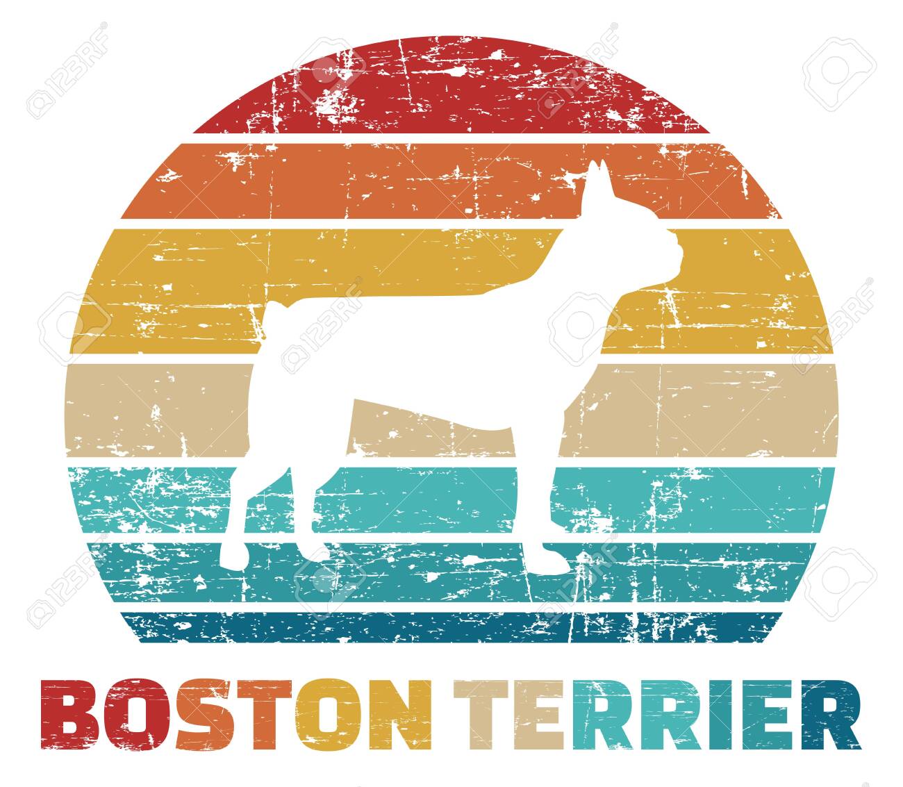 retro boston terrier