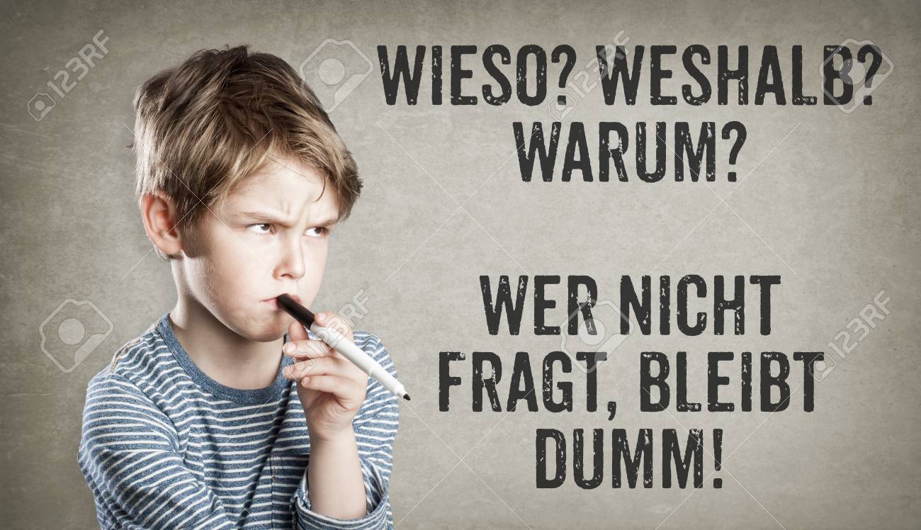 Download Dumm bleibt dumm Free Dumm Bleibt Dumm