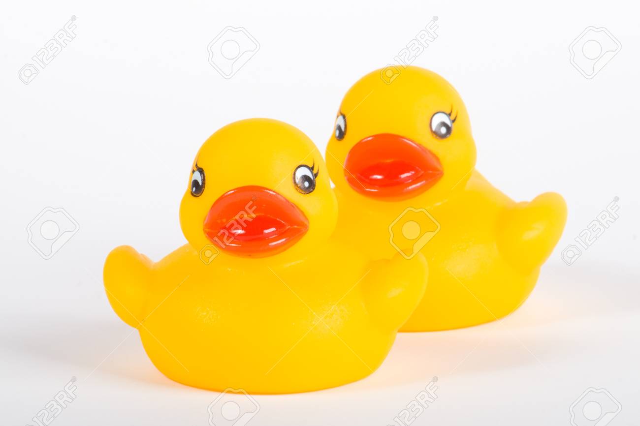 rubber duck squeak