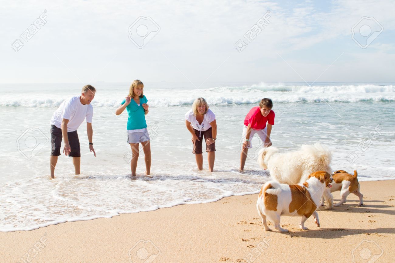 https://previews.123rf.com/images/michaeljung/michaeljung1004/michaeljung100400059/6784092-family-with-pets-on-beach.jpg
