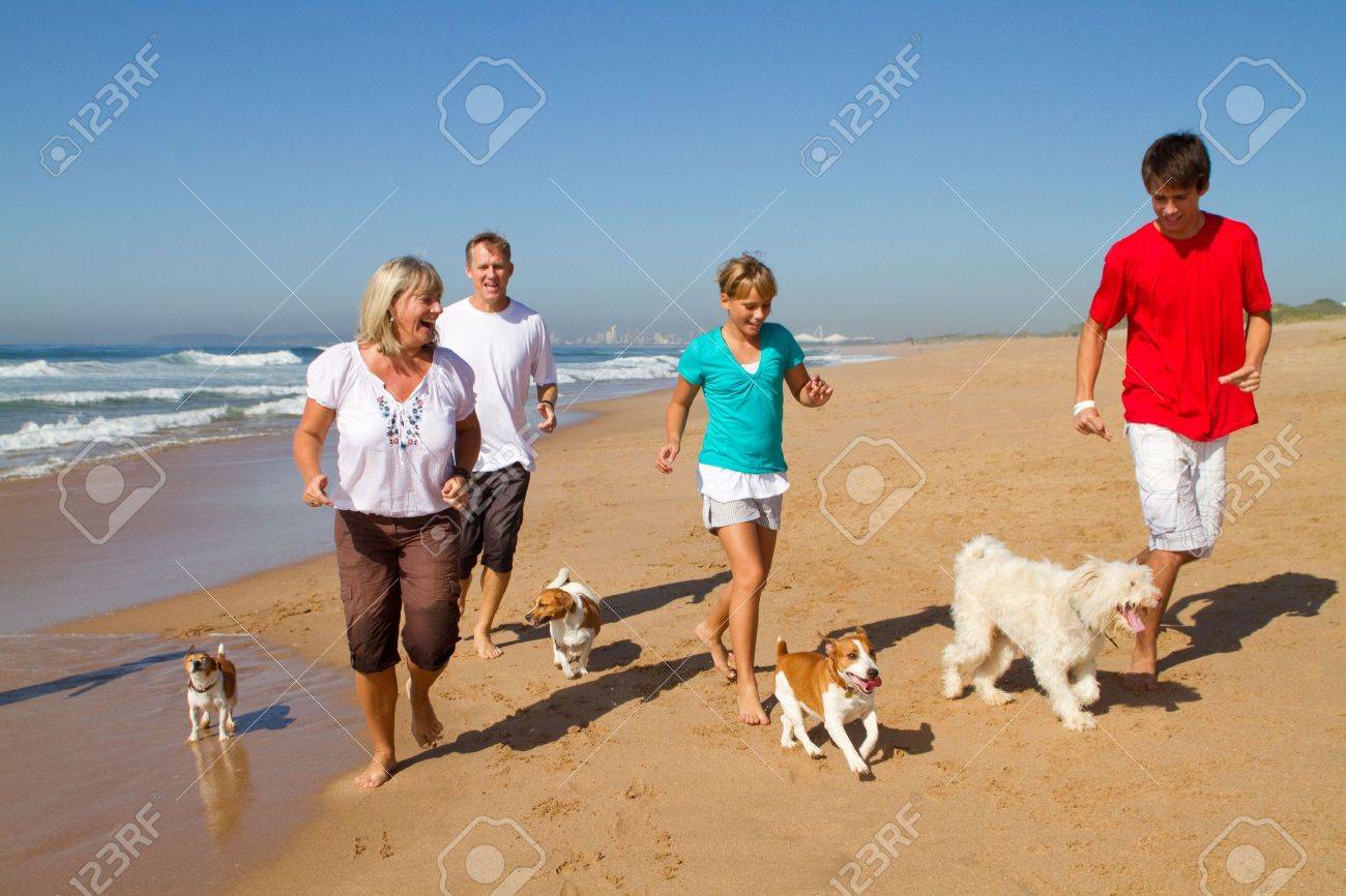 https://previews.123rf.com/images/michaeljung/michaeljung1004/michaeljung100400081/6784031-active-family-on-beach-with-pets.jpg