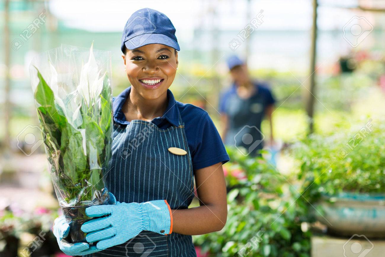 植物を保持しているかわいいアフリカ系アメリカ人女性庭師の肖像画 の写真素材 画像素材 Image