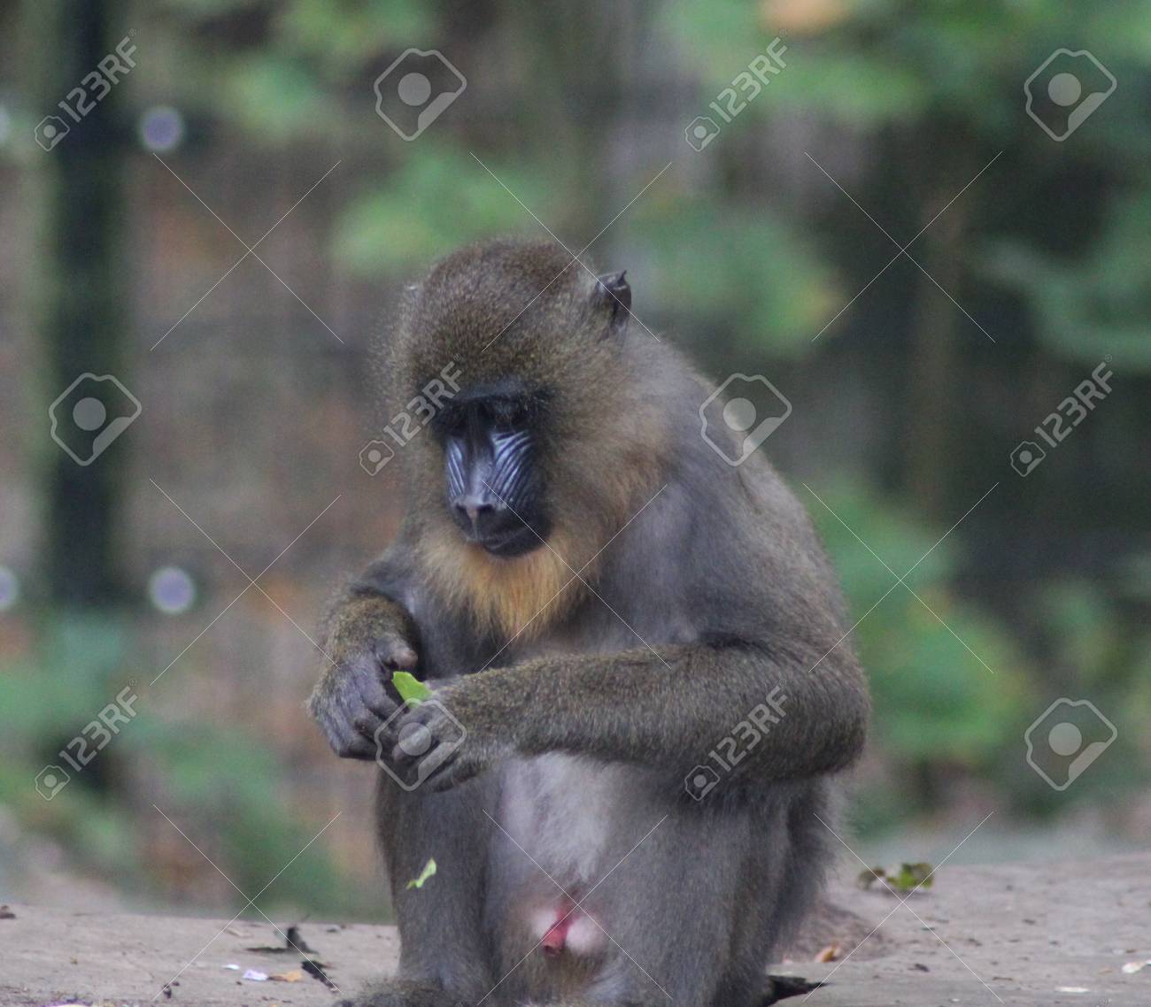 etiam-dictum-ipsum-a-felis