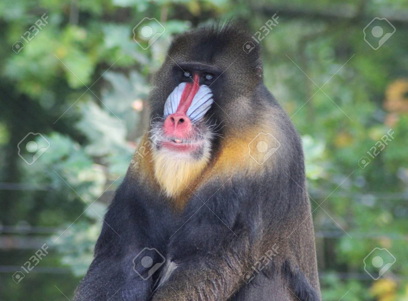 etiam-dictum-ipsum-a-felis