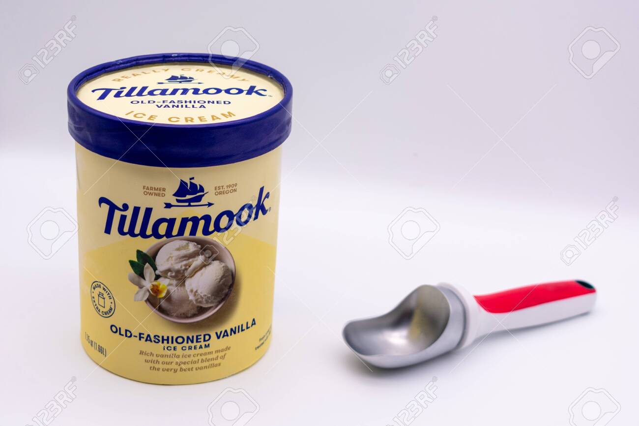 tillamook frozen mudslide 166 l amazonsg grocery on where to buy tillamook ice cream in singapore
