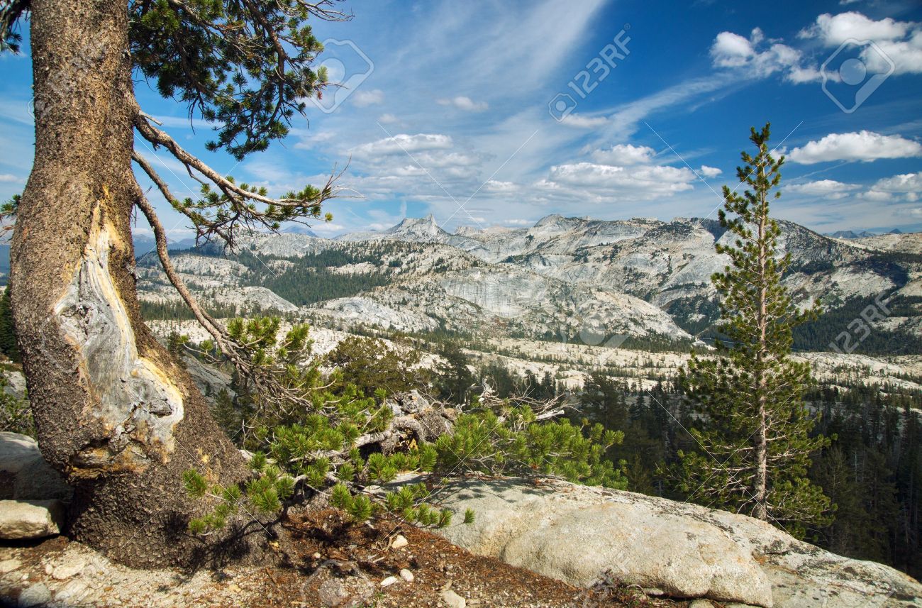 sierra nevada usa