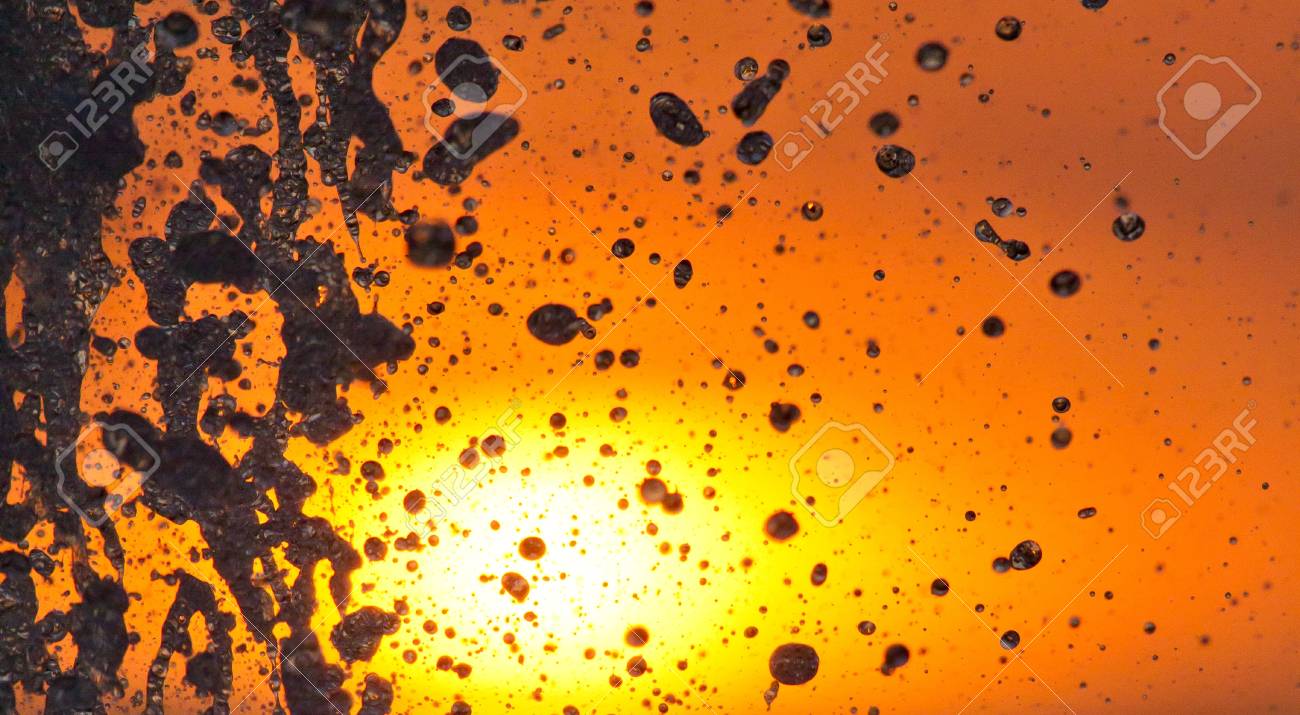 etiam-dictum-ipsum-a-felis