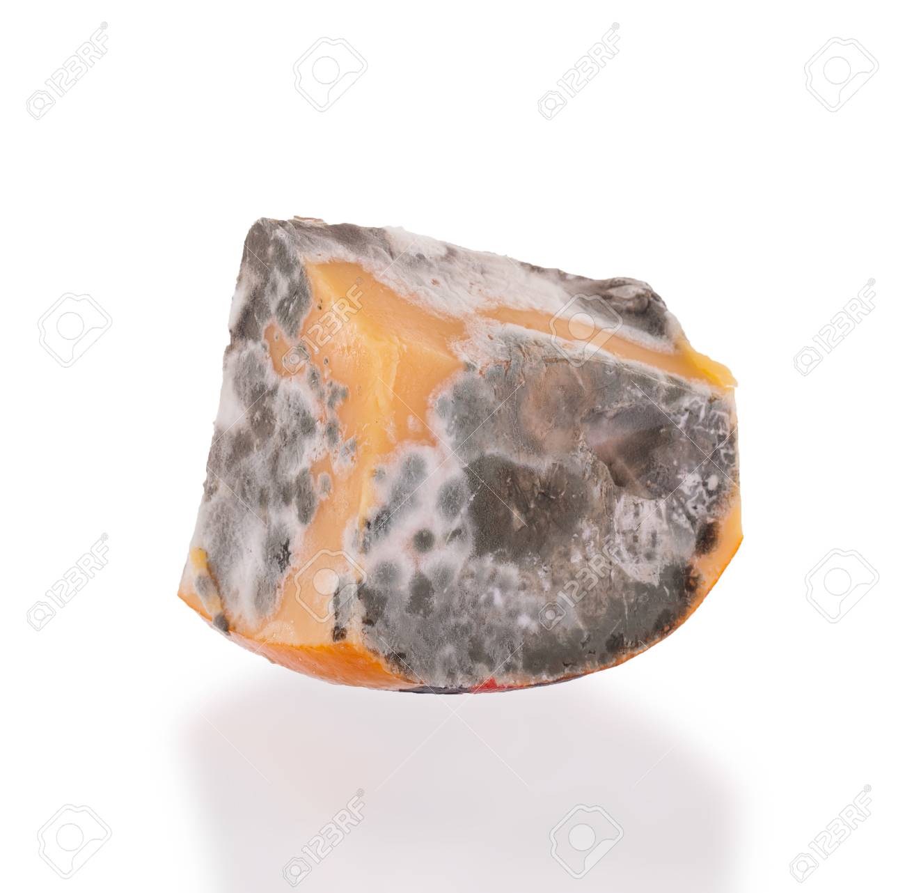 Piece Of Cheese Gone Bad, Isolated On White Stock Photo, Picture and  Royalty Free Image. Image 22557740.